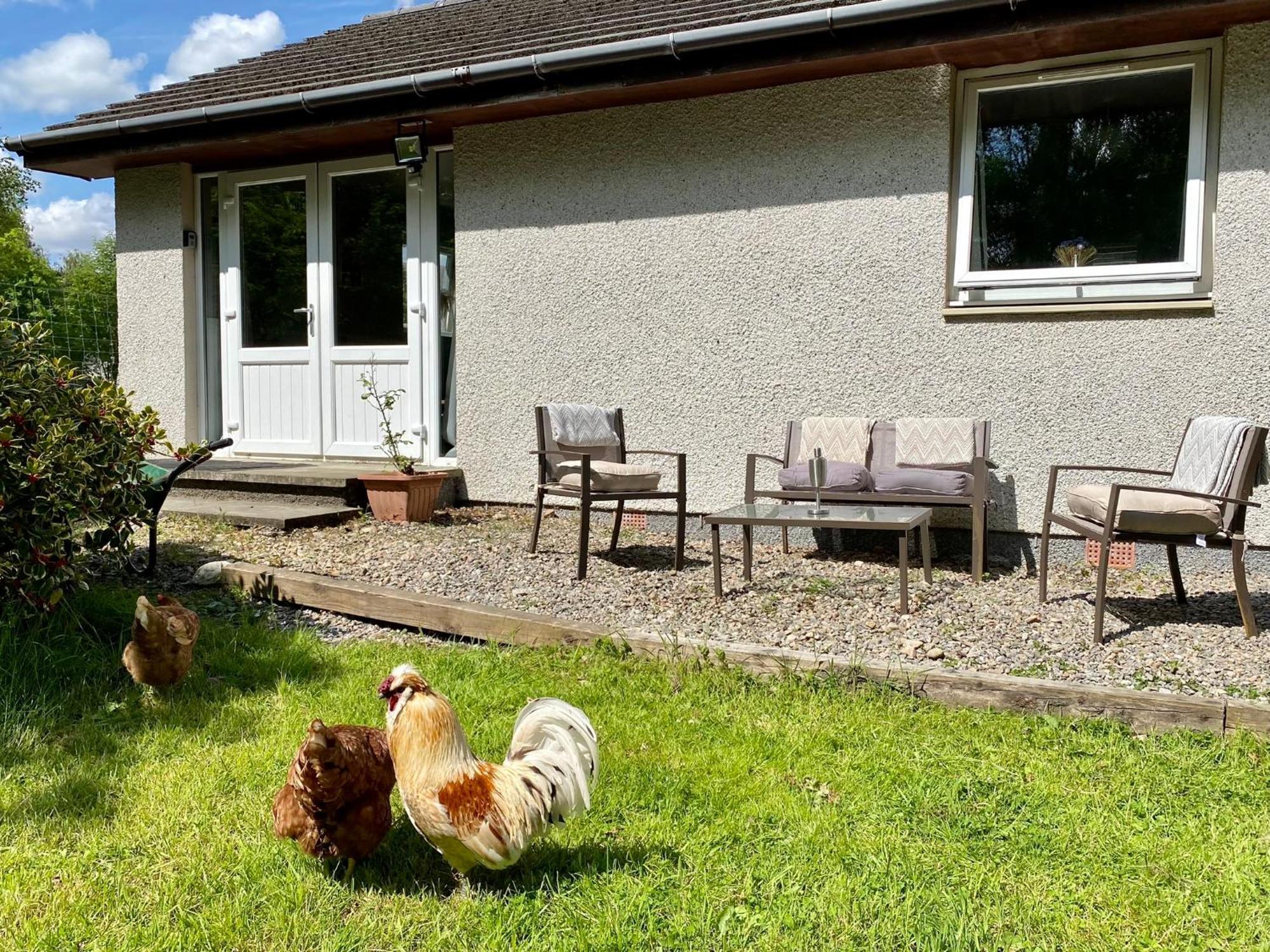 Homestead Cottage, Fort Augustus Εξωτερικό φωτογραφία